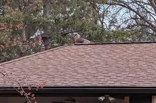 13960 Paris Ave N, Stillwater, MN 55082 - Photo 85