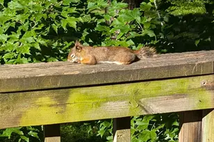 13960 Paris Ave N, Stillwater, MN 55082 - Photo 81