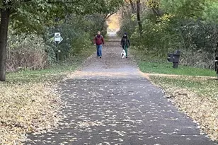 6513 75th St NW, Oronoco, MN 55960 - Photo 27