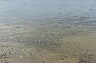 34307 Basswood Lake Rd, Ponsford, MN 56575 - Photo 9