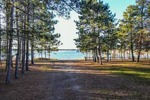 34307 Basswood Lake Rd, Ponsford, MN 56575 - Photo 67