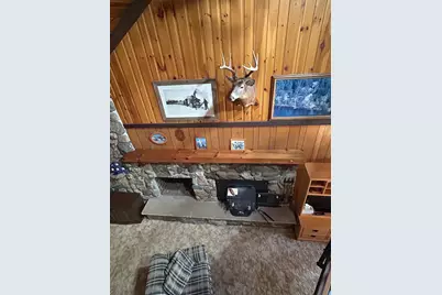 34307 Basswood Lake Road, Ponsford, MN 56575 - Photo 13