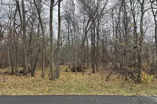 Xxx Sugar Maple Dr, Ottertail, MN 56571 - Photo 1