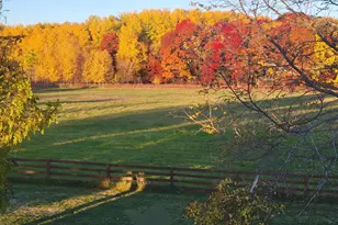 12049 Firefly Ln, Brainerd, MN 56401 - Photo 1