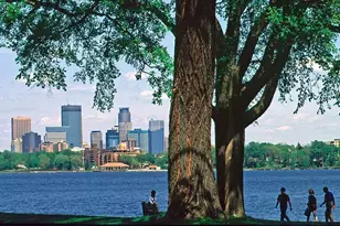 3145 Dean Ct, Minneapolis, MN 55416 - Photo 75