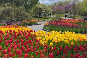 1513 Clover Preserve Wy, Chaska, MN 55318 - Photo 57