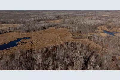 6876 County Road 1, Pine River, MN 56474 - Photo 3