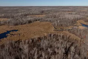 6876 Co Rd 1, Pine River, MN 56474 - Photo 3