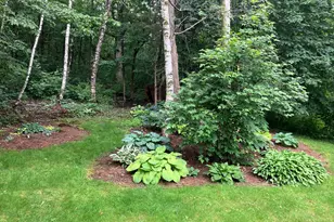 1580 E Division St, River Falls, WI 54022 - Photo 39