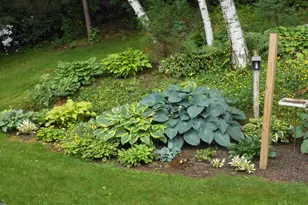 1580 E Division St, River Falls, WI 54022 - Photo 37