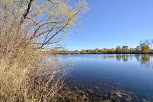 1017 Larch St, Farmington, MN 55024 - Photo 25