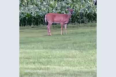 755 240th Avenue SW, Appleton, MN 56208 - Photo 57