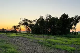 755 240th Ave SW, Appleton, MN 56208 - Photo 41