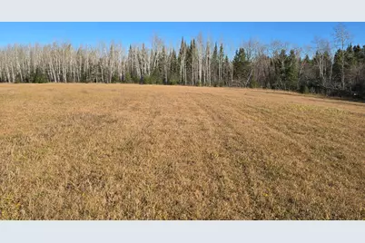 3111 Highway 332, International Falls, MN 56649 - Photo 9