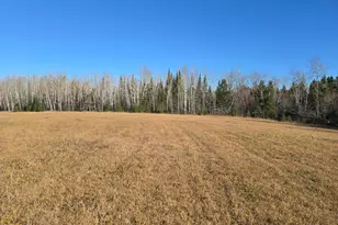 3111 Hwy 332, International Falls, MN 56649 - Photo 9