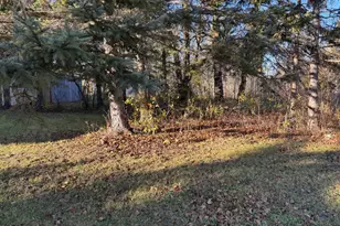 270 Zippel Ave, Williams, MN 56686 - Photo 21