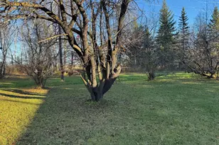 270 Zippel Ave, Williams, MN 56686 - Photo 23