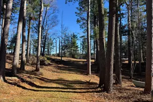 12745 Ecton Trail, Bagley, MN 56621 - Photo 23