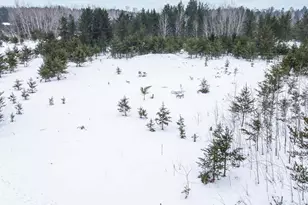 12324 Sorenson Lake Rd, Merrifield, MN 56465 - Photo 57