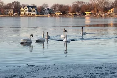 5344 Candy Cove Trail SE, Prior Lake, MN 55372 - Photo 67