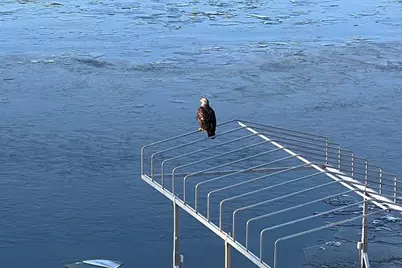 5344 Candy Cove Trail SE, Prior Lake, MN 55372 - Photo 71