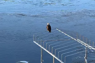 5344 Candy Cove Trail SE, Prior Lake, MN 55372 - Photo 71