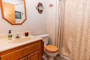 25777 168th St NW, Big Lake, MN 55309 - Photo 47