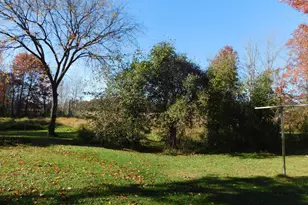 8175 Diane St, Circle Pines, MN 55014 - Photo 31