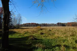 8175 Diane St, Circle Pines, MN 55014 - Photo 33