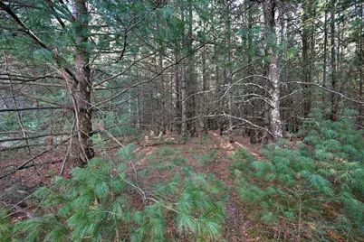 624 N Pine Street, Grantsburg, WI 54840 - Photo 39