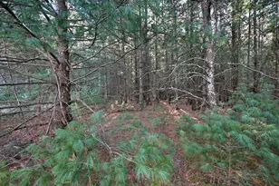 624 N Pine St, Grantsburg, WI 54840 - Photo 39