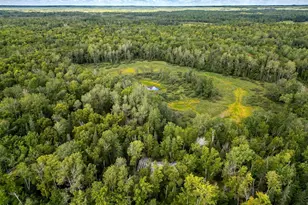 48029 110th Pl, Tamarack, MN 55787 - Photo 1