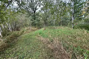 10038 Co Rd 8, Brainerd, MN 56401 - Photo 9
