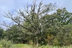 10038 Co Rd 8, Brainerd, MN 56401 - Photo 7