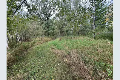 10038 County Road 8, Brainerd, MN 56401 - Photo 9