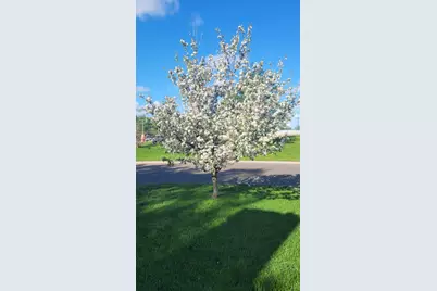 5424 51st Avenue N, Crystal, MN 55429 - Photo 41