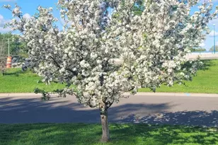 5424 51st Ave N, Crystal, MN 55429 - Photo 41