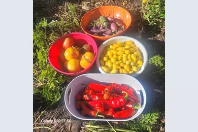 5424 51st Avenue N, Crystal, MN 55429 - Photo 39