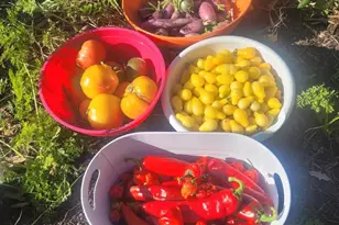 5424 51st Ave N, Crystal, MN 55429 - Photo 39