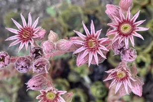 13869 Hardy Lake Rd SW, Pillager, MN 56473 - Photo 61