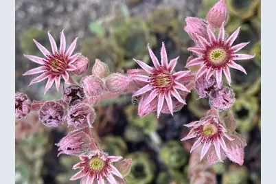 13869 Hardy Lake Road SW, Pillager, MN 56473 - Photo 53