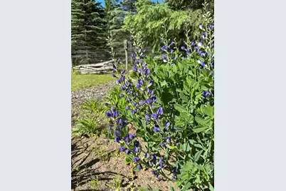 13869 Hardy Lake Road SW, Pillager, MN 56473 - Photo 49