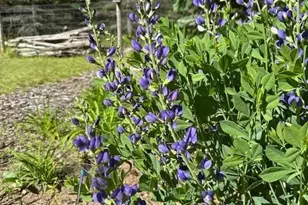 13869 Hardy Lake Rd SW, Pillager, MN 56473 - Photo 49