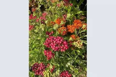 13869 Hardy Lake Road SW, Pillager, MN 56473 - Photo 49