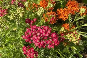 13869 Hardy Lake Rd SW, Pillager, MN 56473 - Photo 49