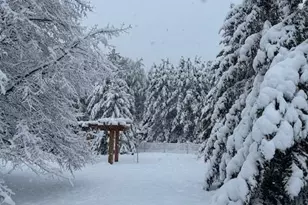 13869 Hardy Lake Rd SW, Pillager, MN 56473 - Photo 45