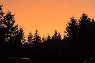 13869 Hardy Lake Rd SW, Pillager, MN 56473 - Photo 47