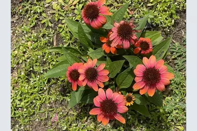 13869 Hardy Lake Road SW, Pillager, MN 56473 - Photo 55