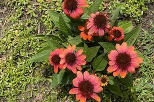 13869 Hardy Lake Rd SW, Pillager, MN 56473 - Photo 55