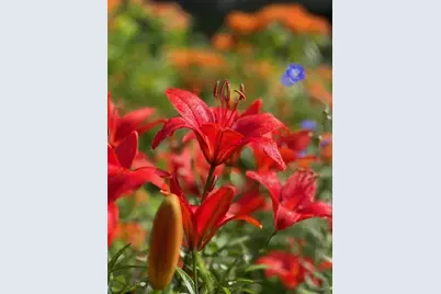 13869 Hardy Lake Road SW, Pillager, MN 56473 - Photo 59